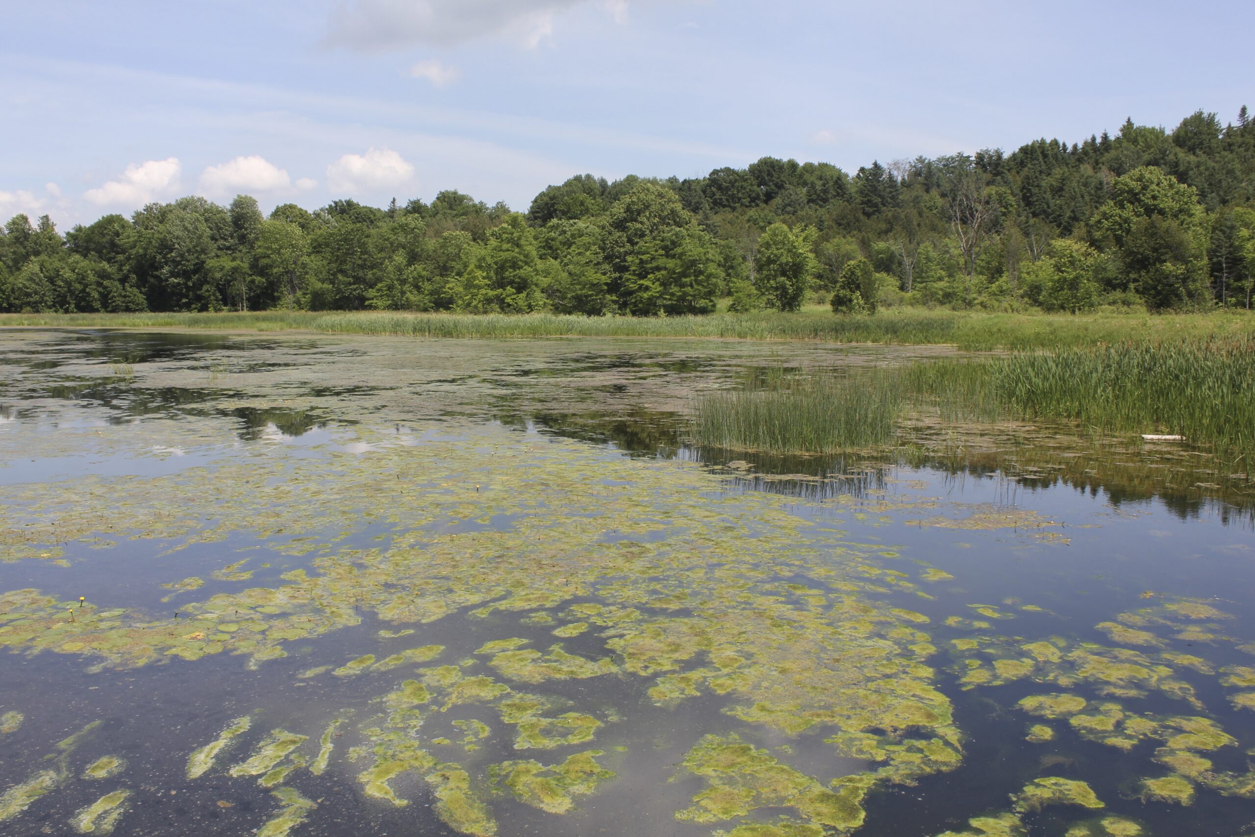 King’s Mill Lower Trent Conservation