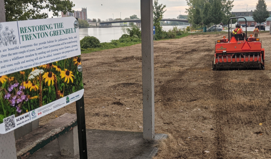 Restoring the Greenbelt signage