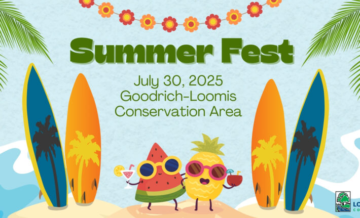 Summer Fest