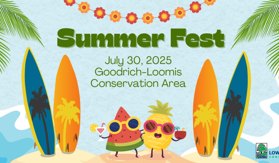Summer Fest